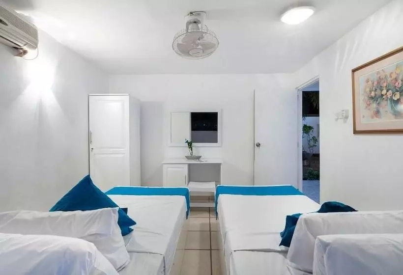 پانسیون White Villa