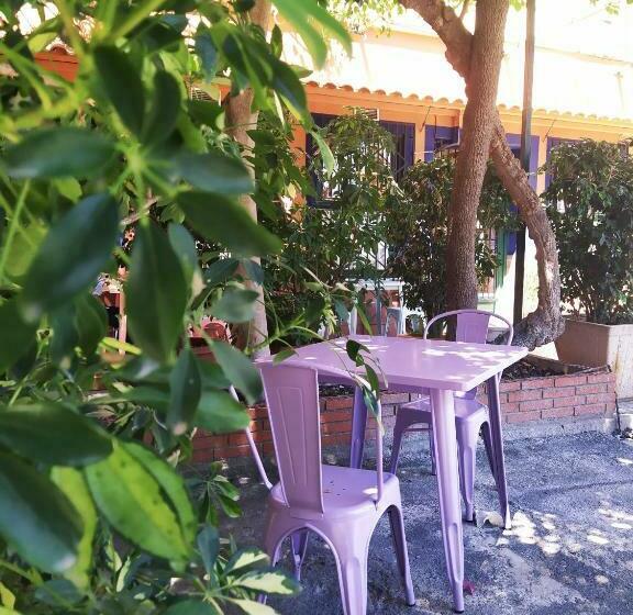 渡假胜地  Las Palmeras