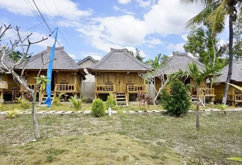 تختخواب و صبحانه Green Bamboo