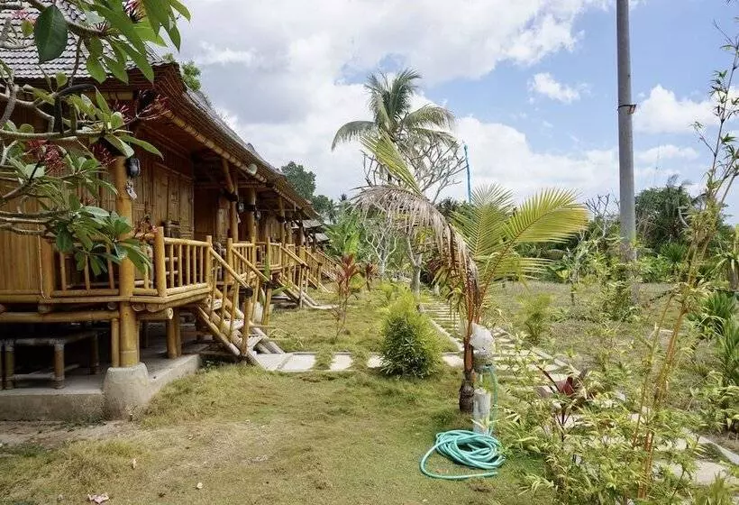 تختخواب و صبحانه Green Bamboo