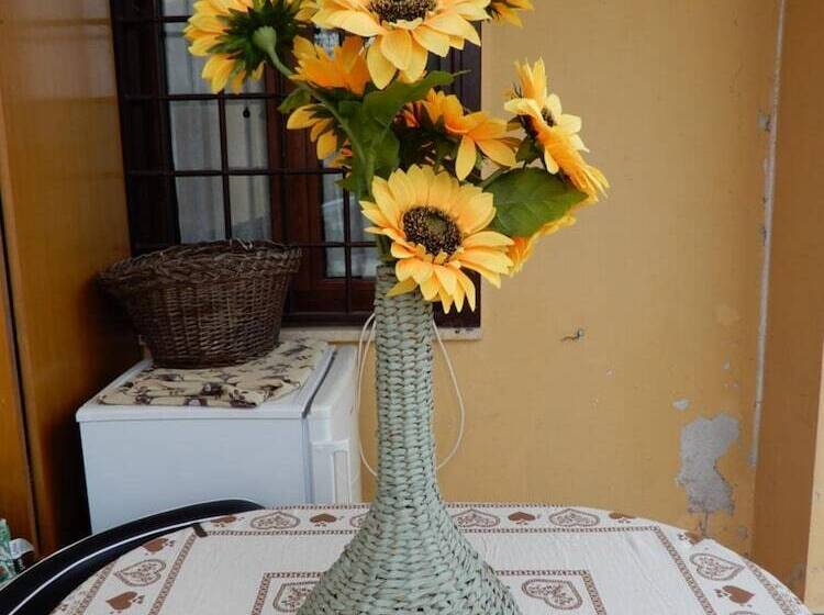 Bed and Breakfast Il Gelsomino