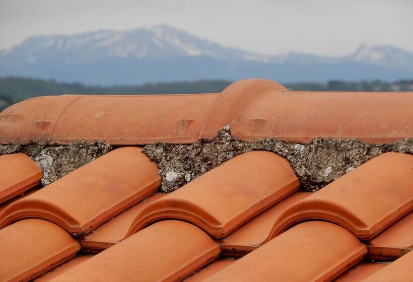 Bed and Breakfast Il Gelsomino