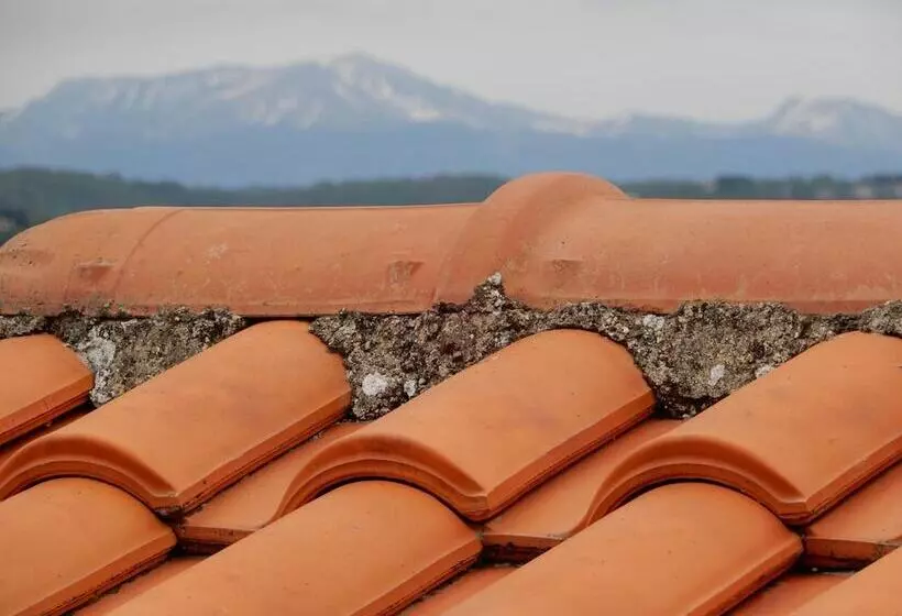 ベッドアンドブレックファースト Il Gelsomino