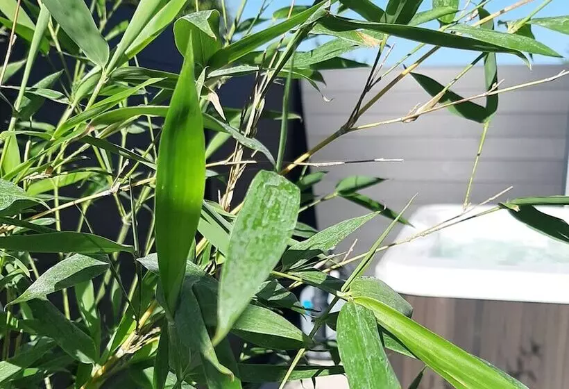 Aamiaismajoitus (B&B) Le Feneau Maison D Hôtes