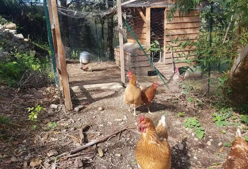 ベッドアンドブレックファースト Mas Des Ballats