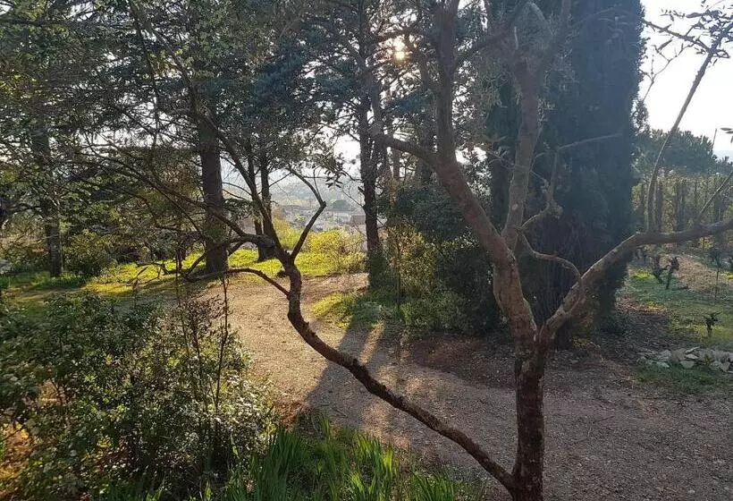 ベッドアンドブレックファースト Mas Des Ballats