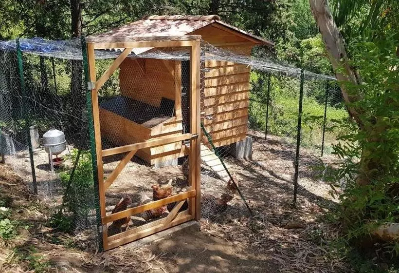 ベッドアンドブレックファースト Mas Des Ballats