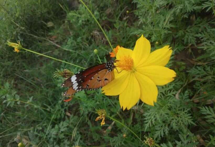 בית מלון כפרי Eriline Resorts