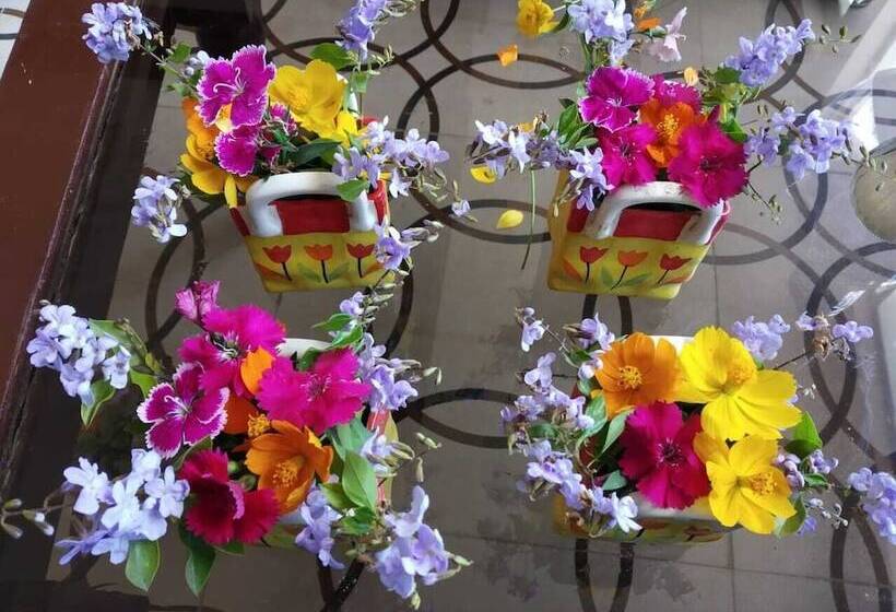 בית מלון כפרי Eriline Resorts