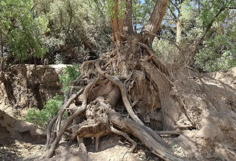 Hotelli Gîte Tamlli