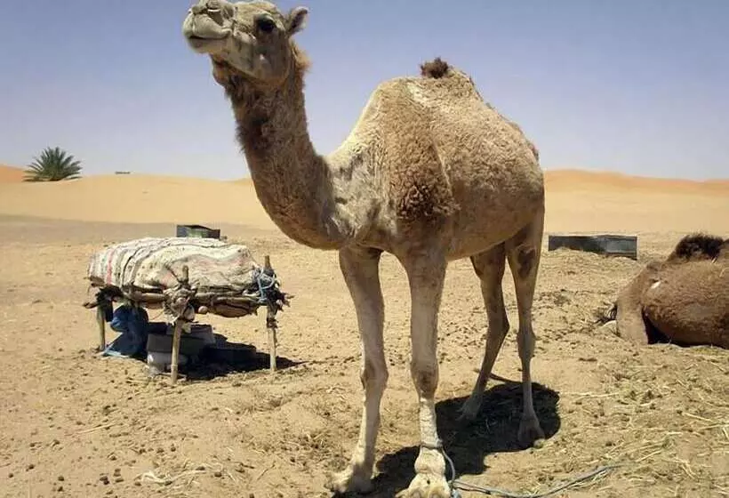 Hotelli Gîte Tamlli