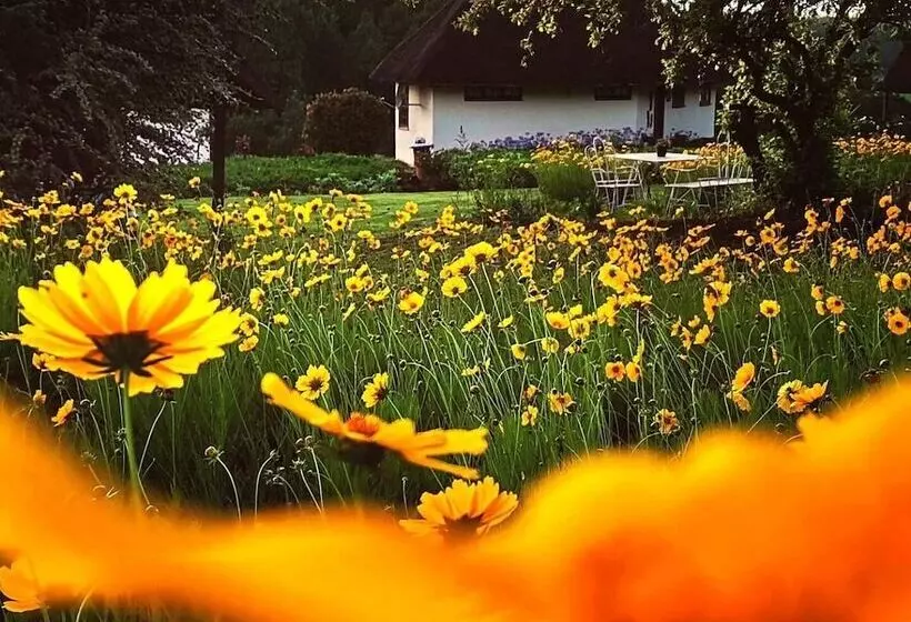 Hotelli Otters Den Self Catering Cottages