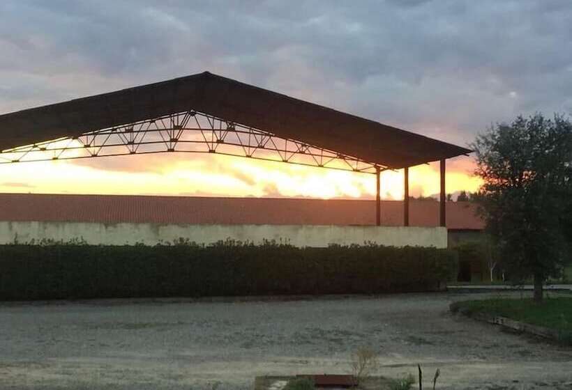 교외 호텔 Agriturismo Cargandino