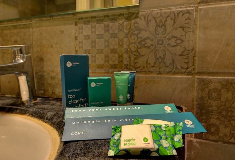 Hotel Treebo Tia Value
