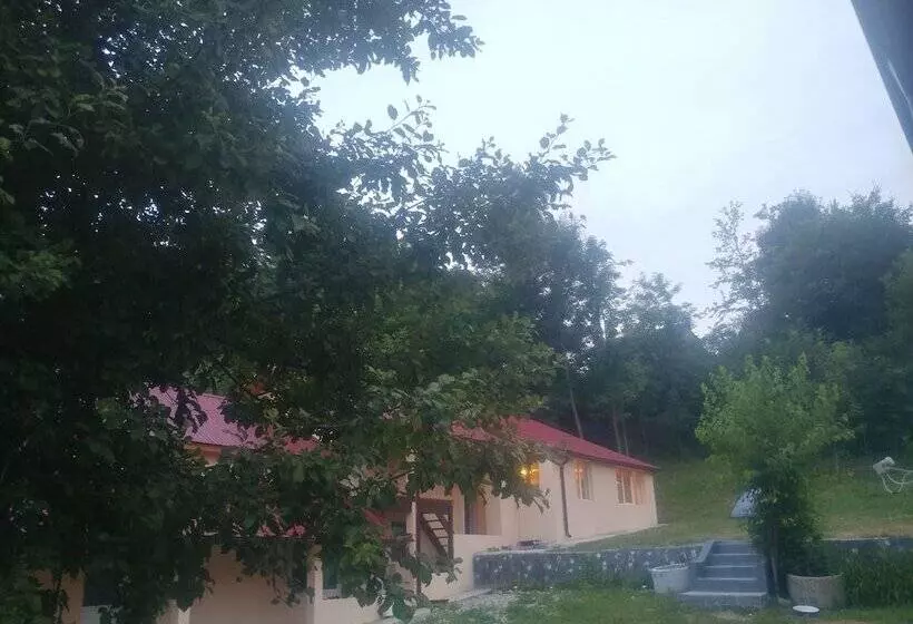 پانسیون Casa Natura Healing Sound