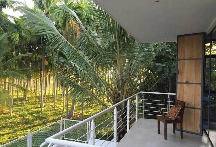 Pensão Davey S Town House