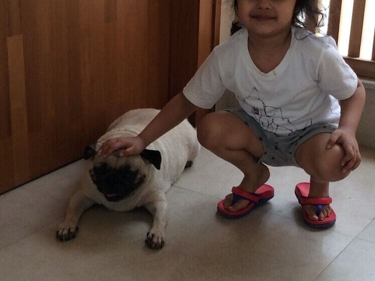 Pensão Davey S Town House