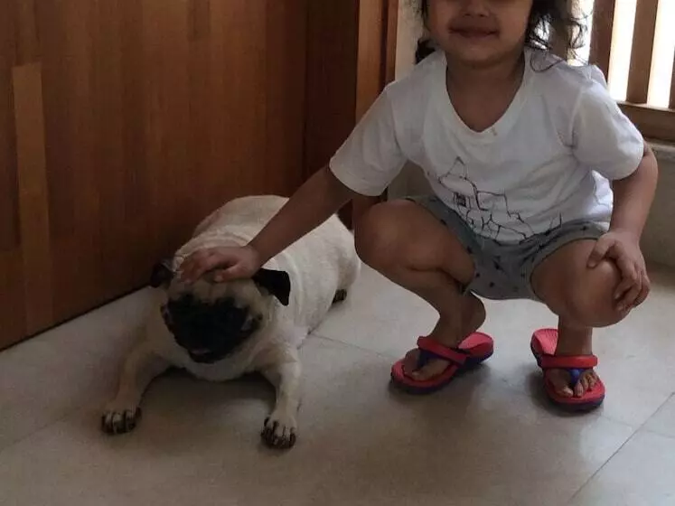 Majatalo Davey S Town House