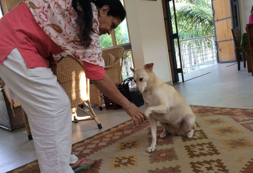 Pensão Davey S Town House