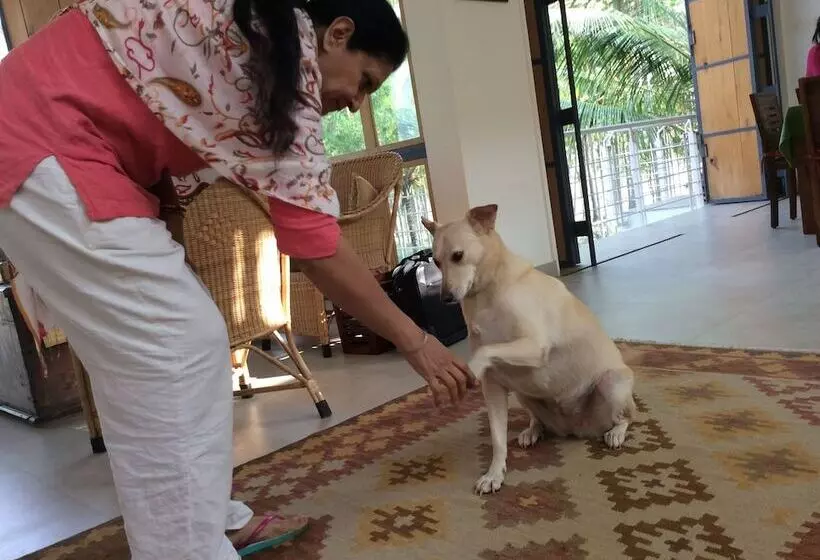 Majatalo Davey S Town House