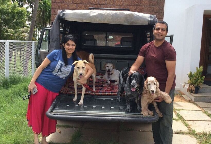 Pensão Davey S Town House