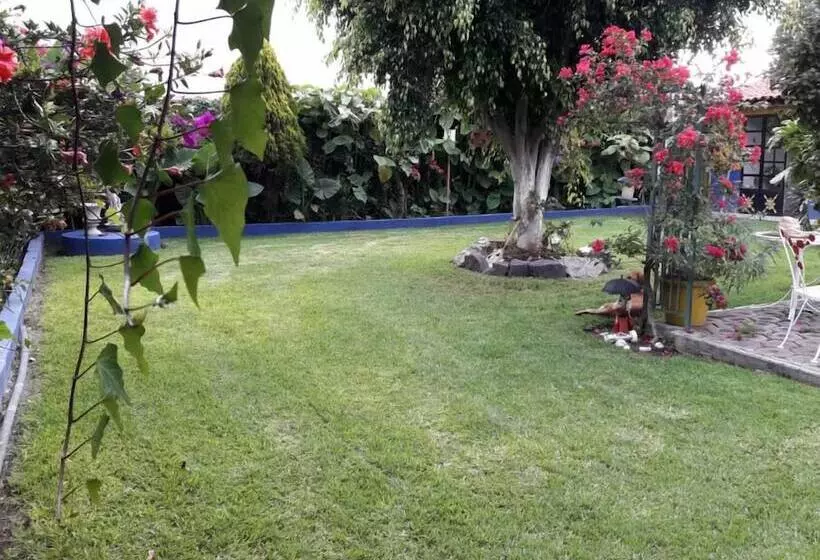 ペンション Finca Fabiola