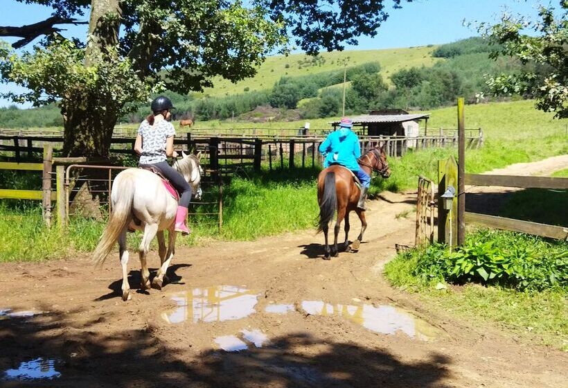 פנסיון Flitwick Ranch