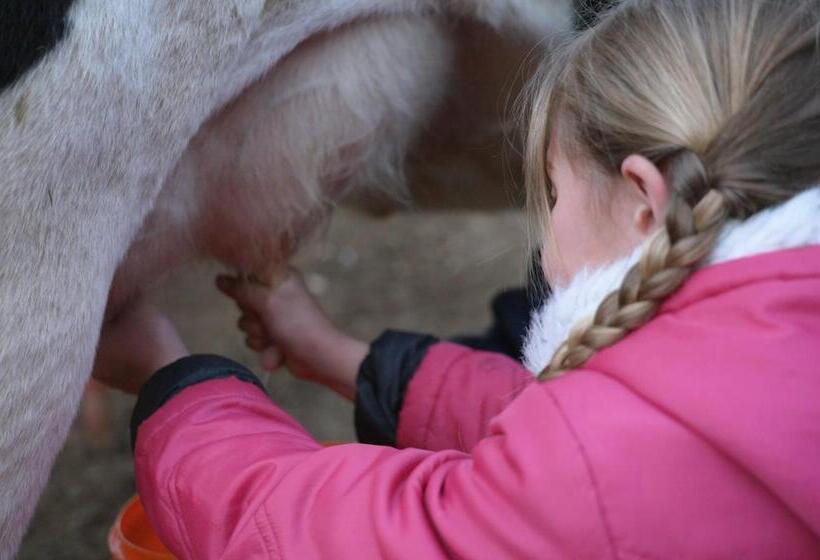 פנסיון Flitwick Ranch