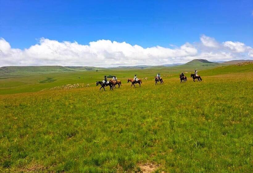 פנסיון Flitwick Ranch