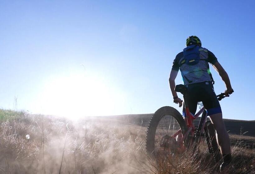 פנסיון Flitwick Ranch