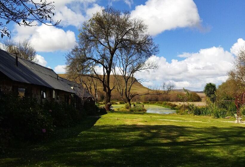 פנסיון Flitwick Ranch