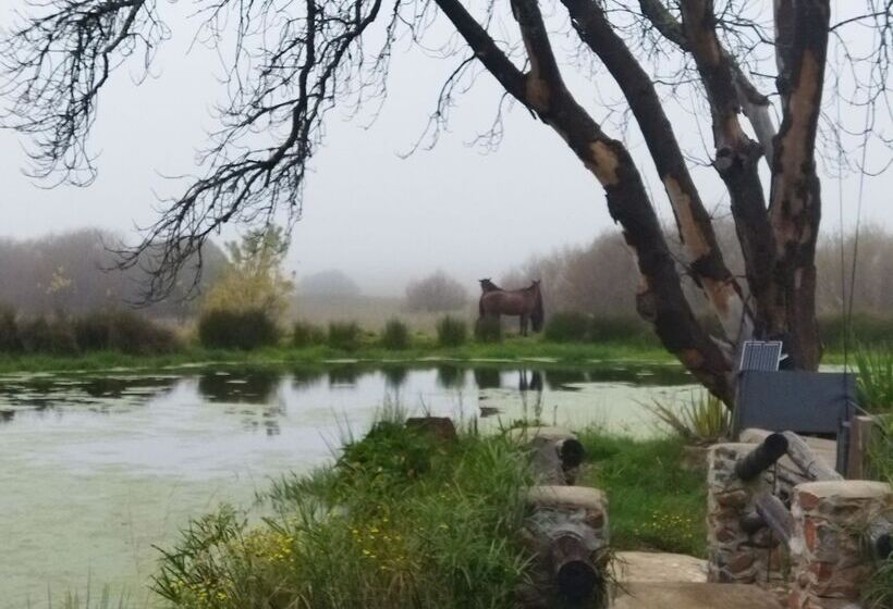 פנסיון Flitwick Ranch