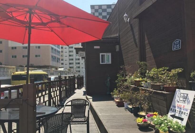 Pension Hago Guest House