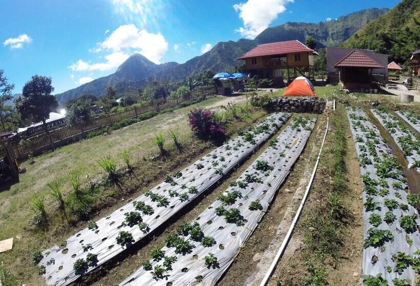 Курорт Bale Sembahulun Cottages & Tend