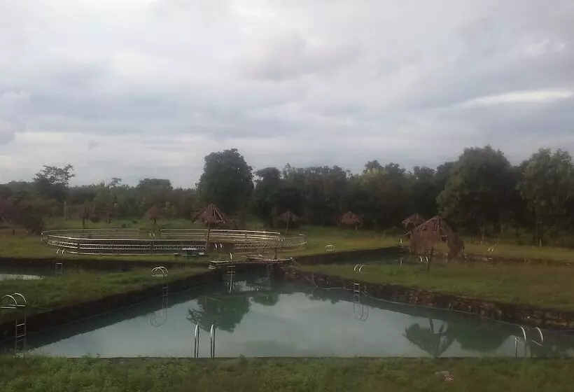 Hotelli Dream Resort Farm