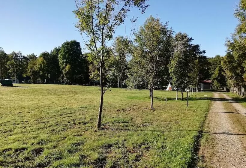 Hotelli Future Is Nature Playground