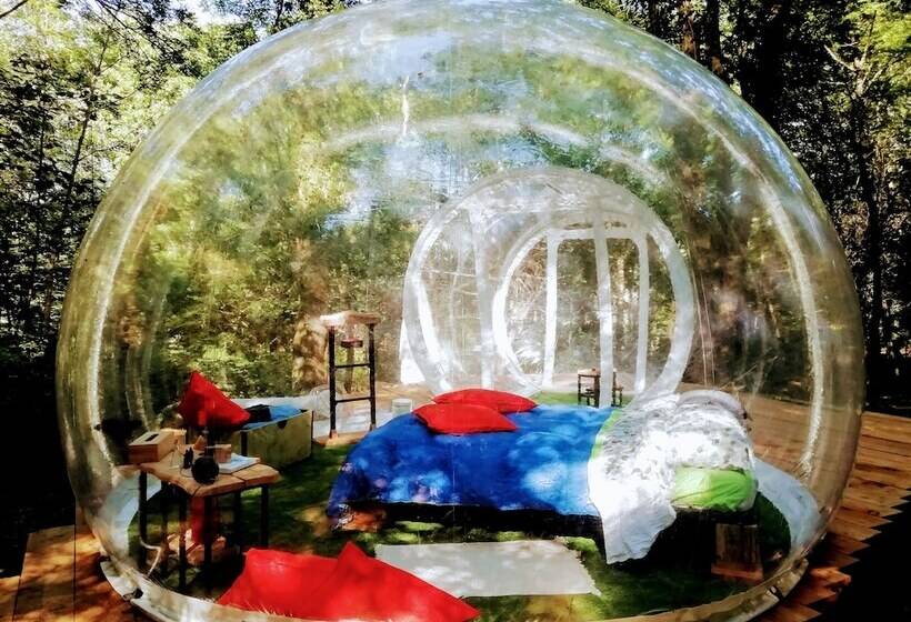 בית מלון כפרי Future Is Nature Playground