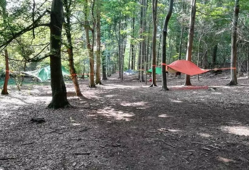 Hotelli Future Is Nature Playground