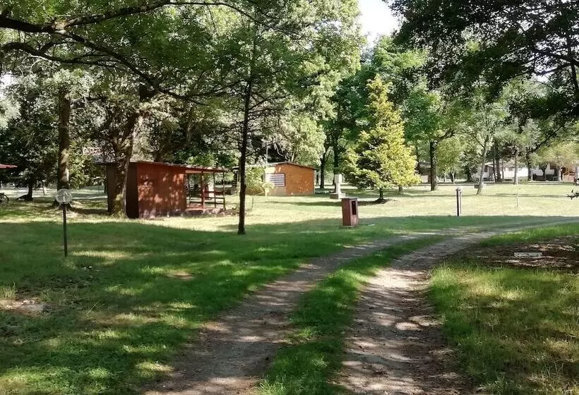 Hotelli Future Is Nature Playground