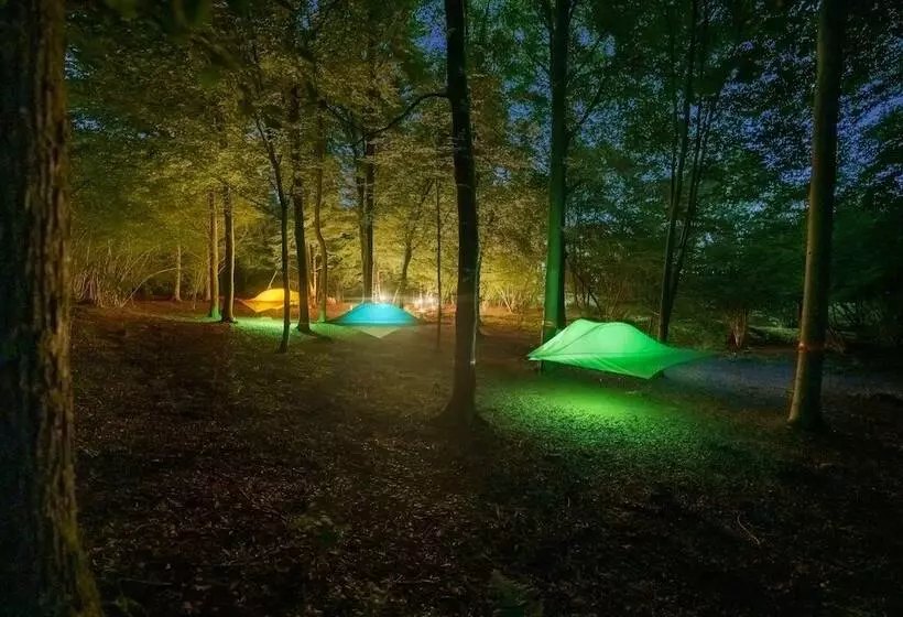 Hotelli Future Is Nature Playground