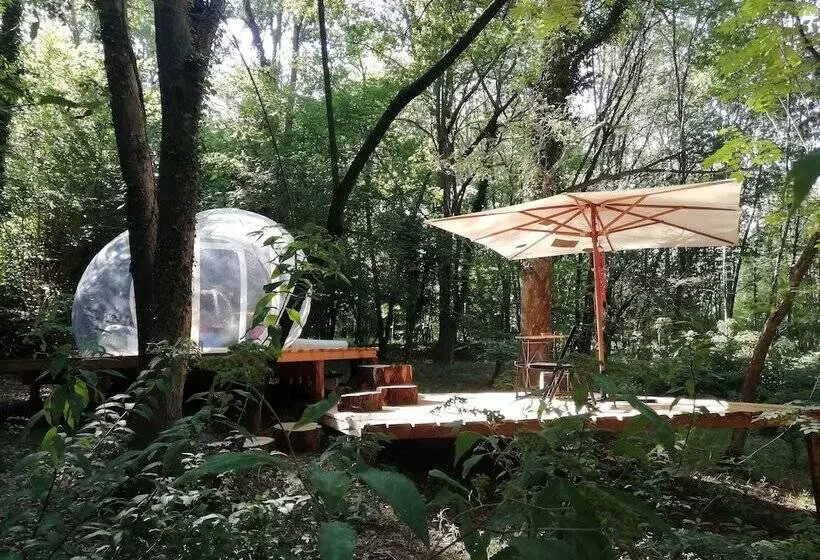 Hotelli Future Is Nature Playground