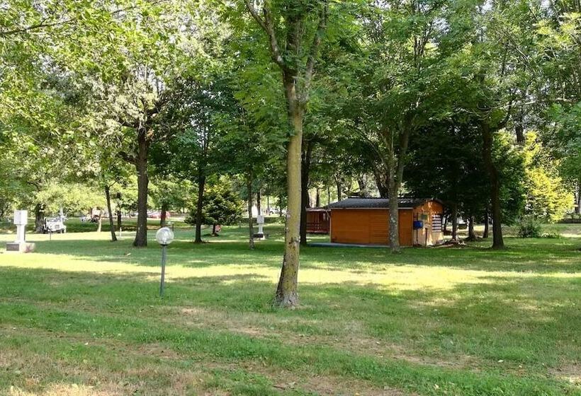 בית מלון כפרי Future Is Nature Playground