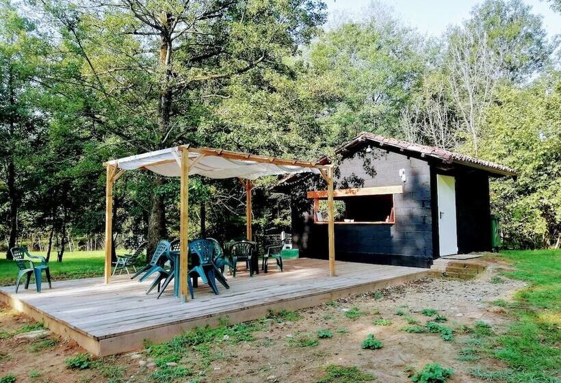 בית מלון כפרי Future Is Nature Playground