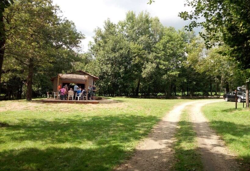 בית מלון כפרי Future Is Nature Playground
