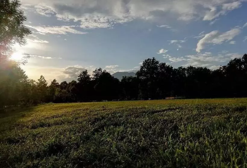 Hotelli Future Is Nature Playground