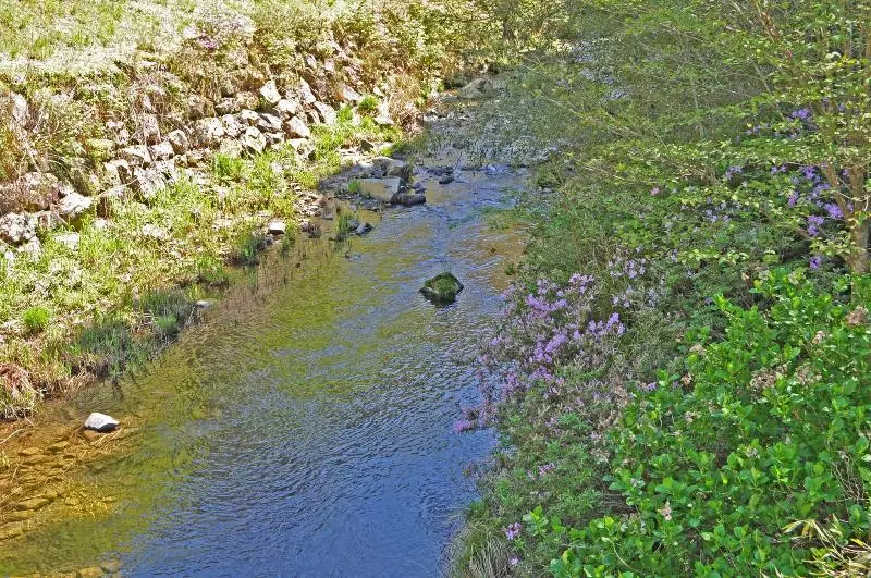 ホテル Nature Resort In Shimanto