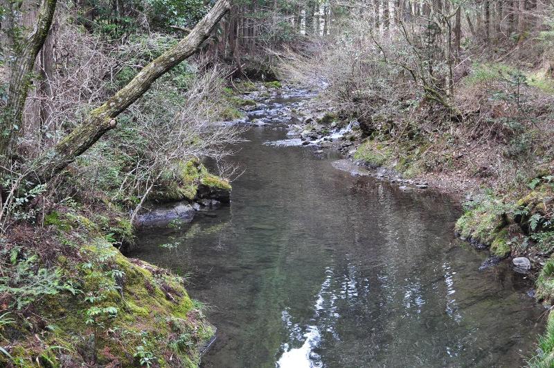 호텔 Nature Resort In Shimanto
