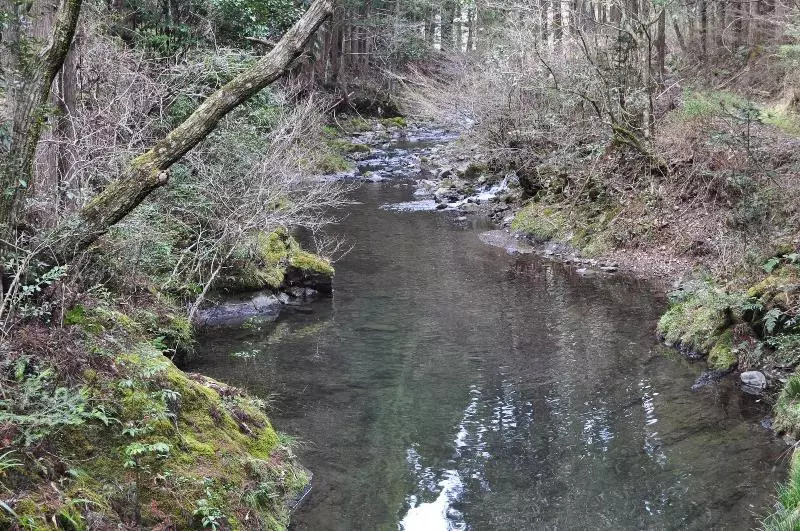 ホテル Nature Resort In Shimanto