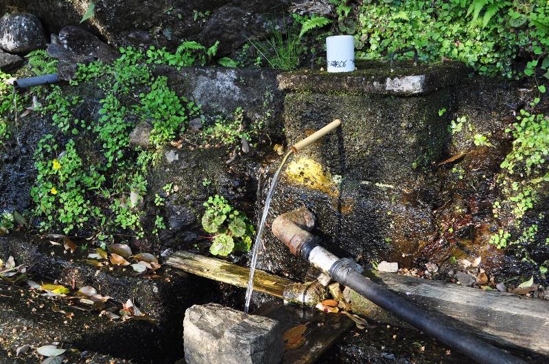 호텔 Nature Resort In Shimanto