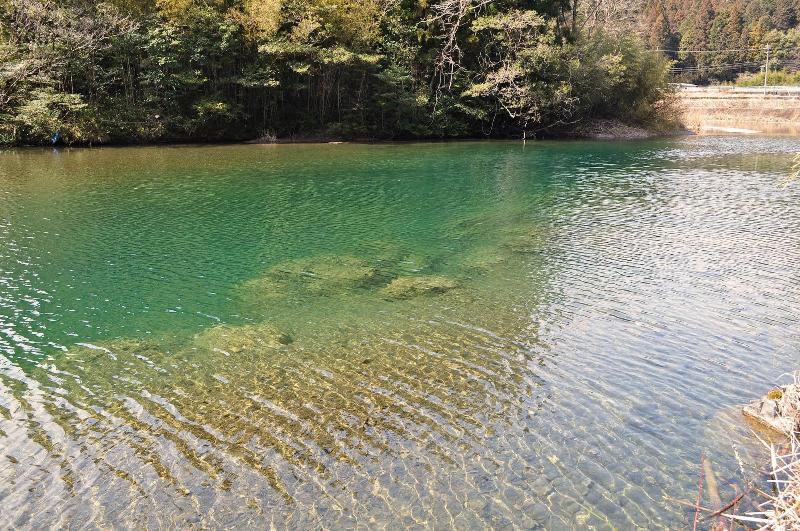 호텔 Nature Resort In Shimanto